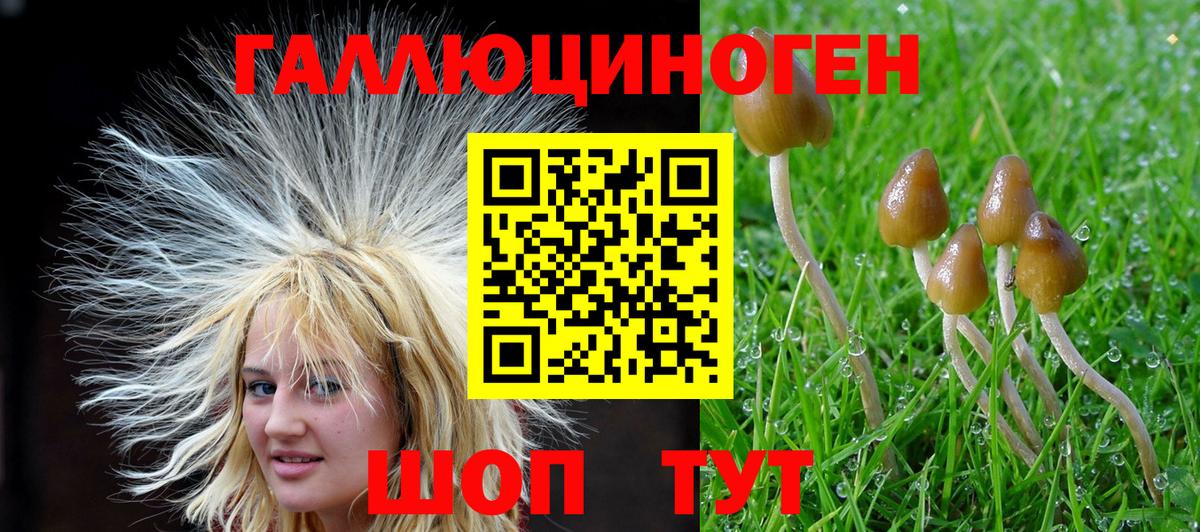 Галлюциногенные грибы GOLDEN TEACHER Моздок