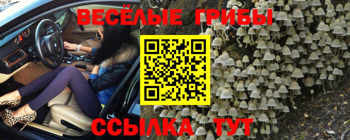 Моздок  Псилоцибиновые грибы ЛСД  Вход с VPN 